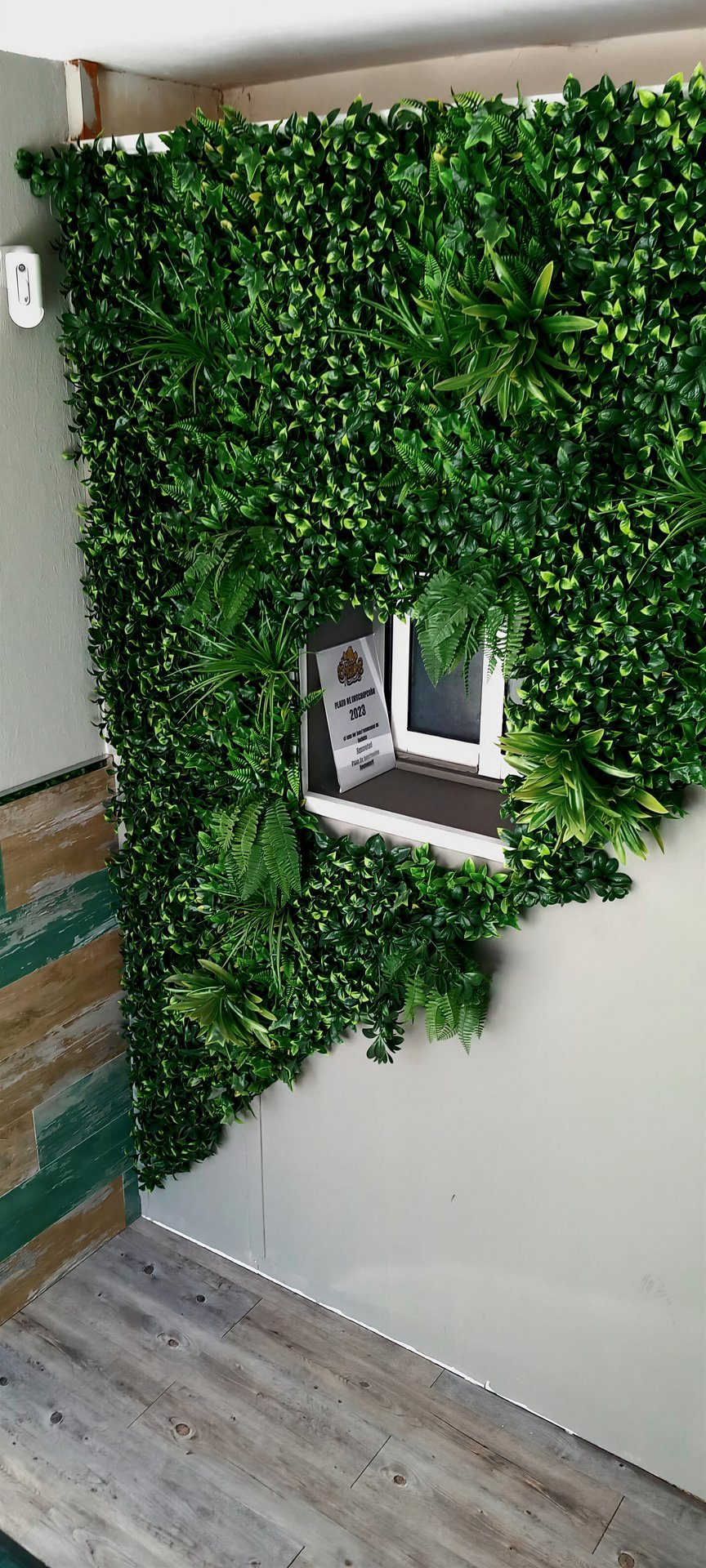 The Broccoli's House