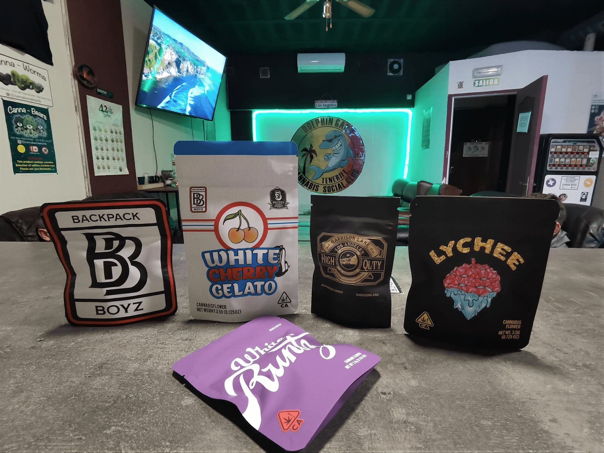 Dolphin Gang Social Club