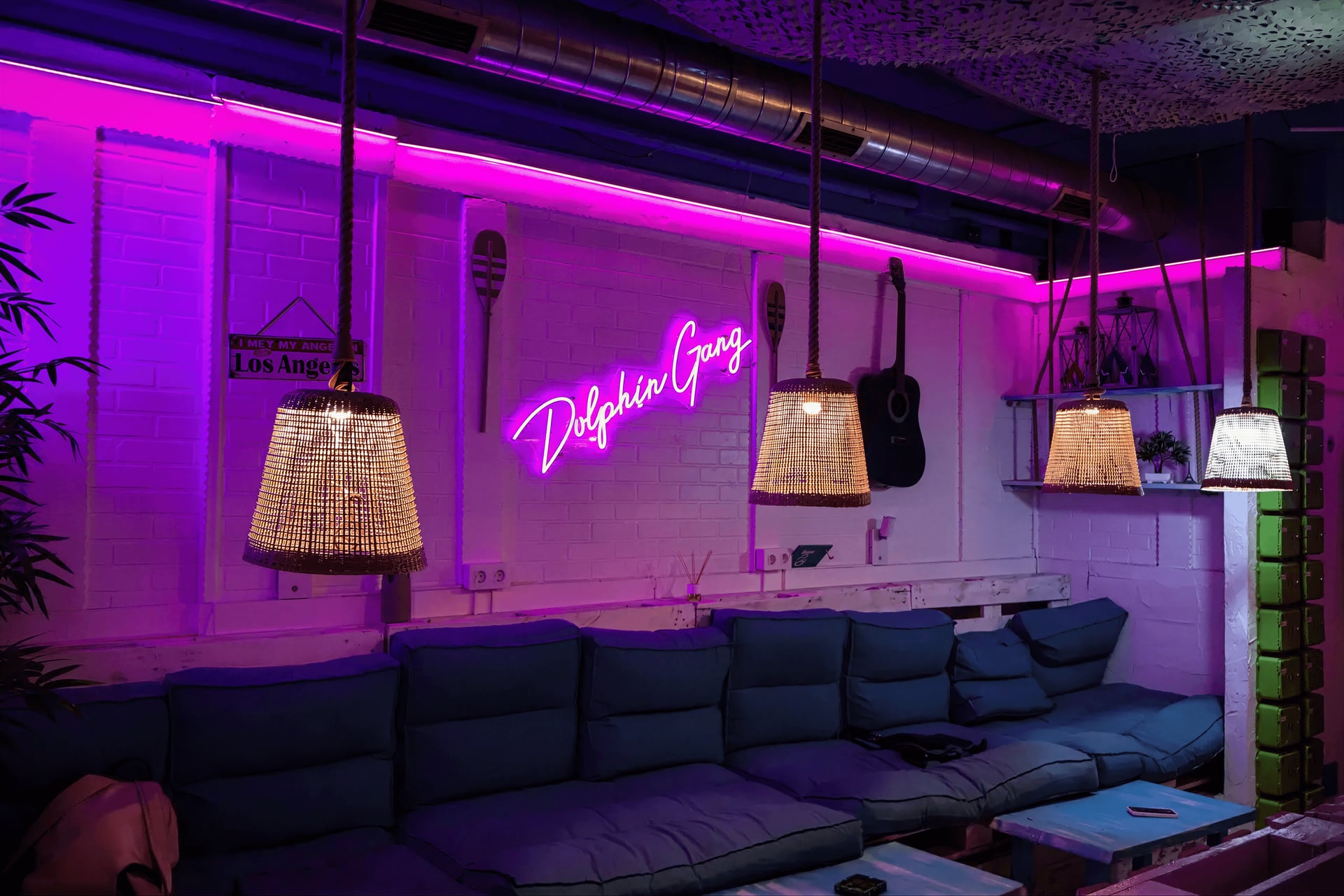 Dolphin Gang Social Club