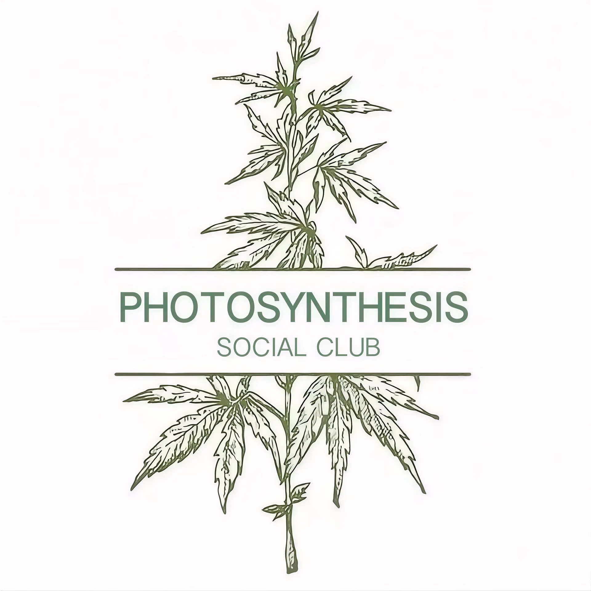 Cannabis Social Club Photosynthesis Social Club logo