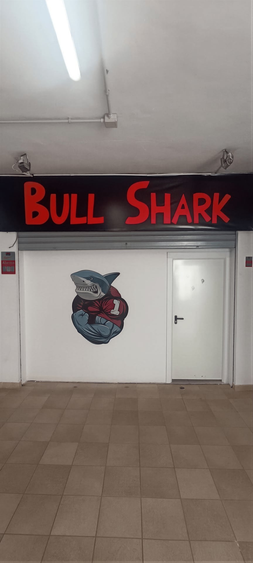 CSC BULL SHARK 420