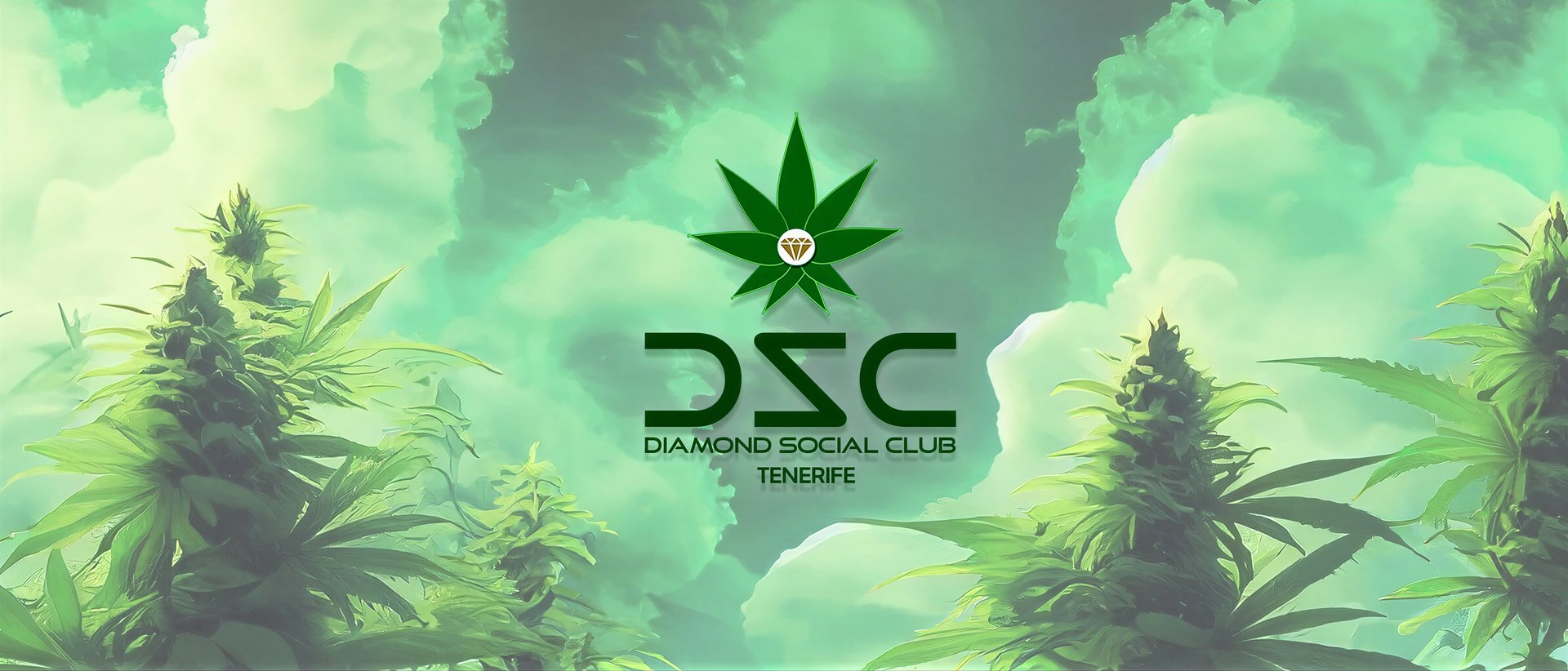 Diamond Social Club hero