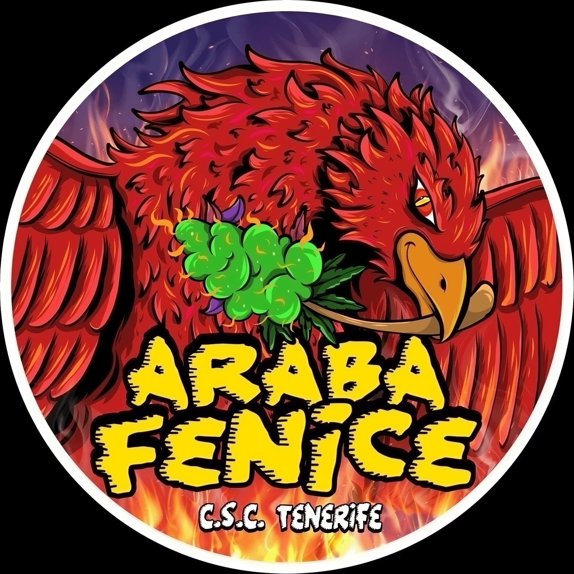 Araba FeniceCsc logo