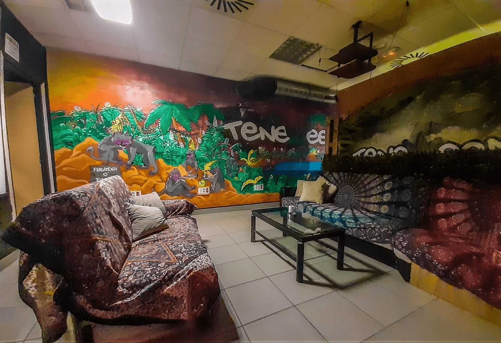 Teneweedfe