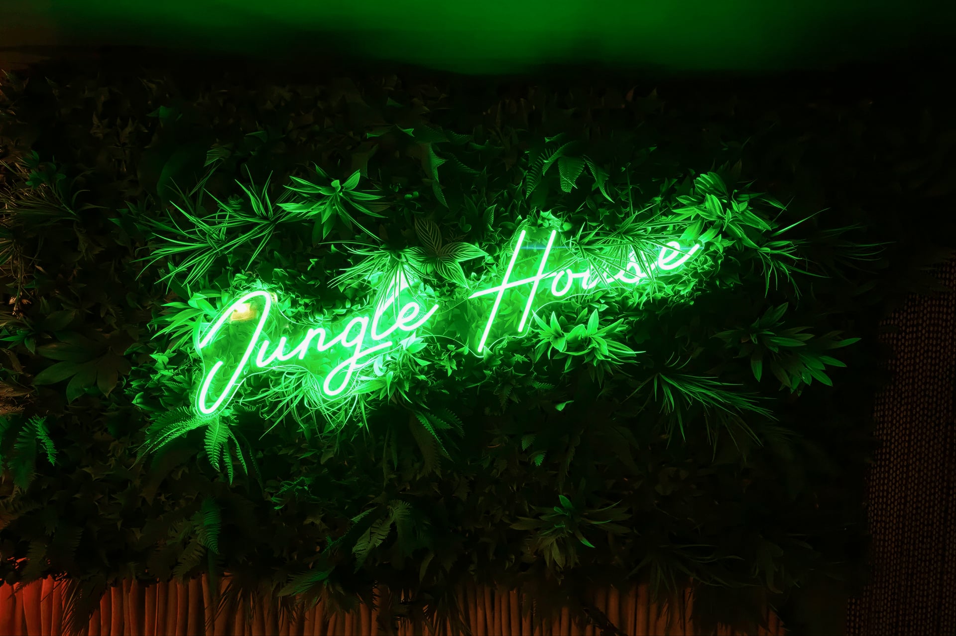 Jungle House
