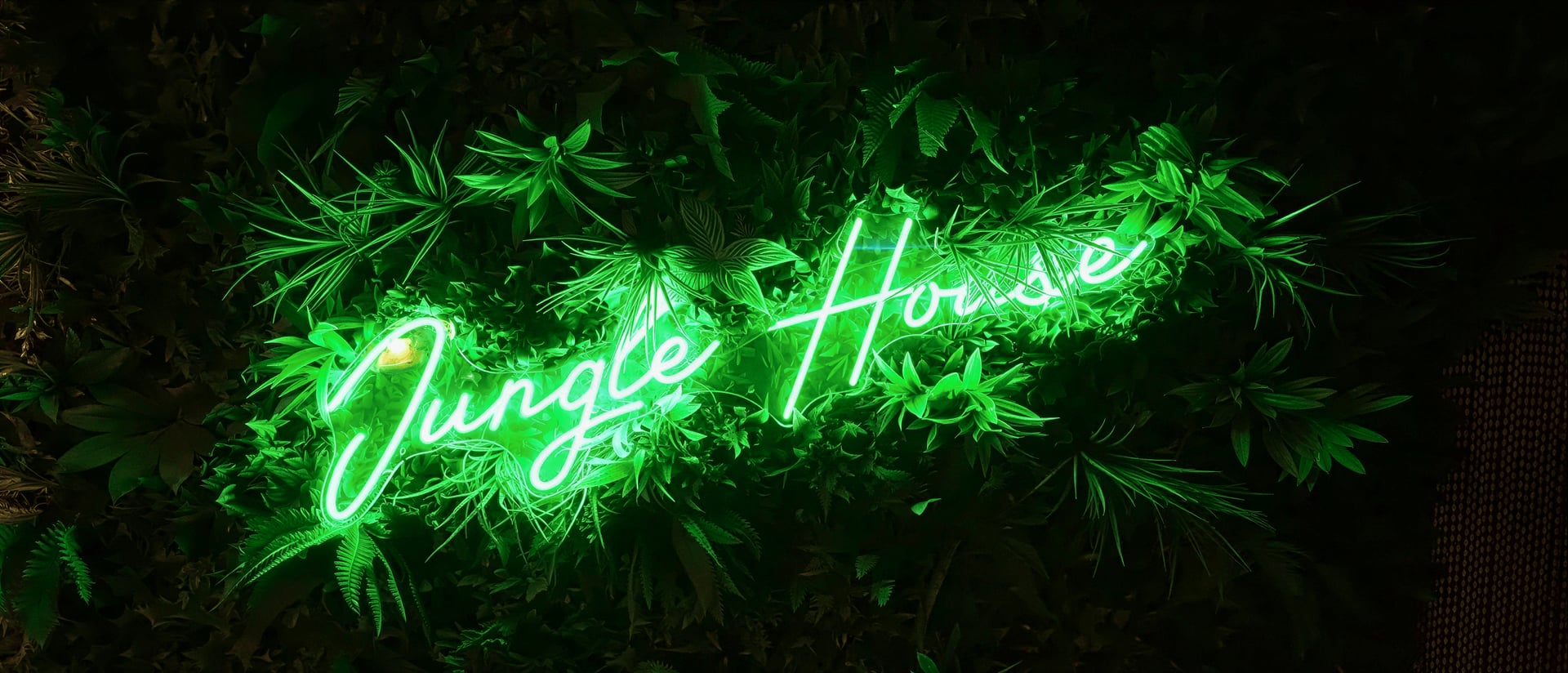 Jungle House hero