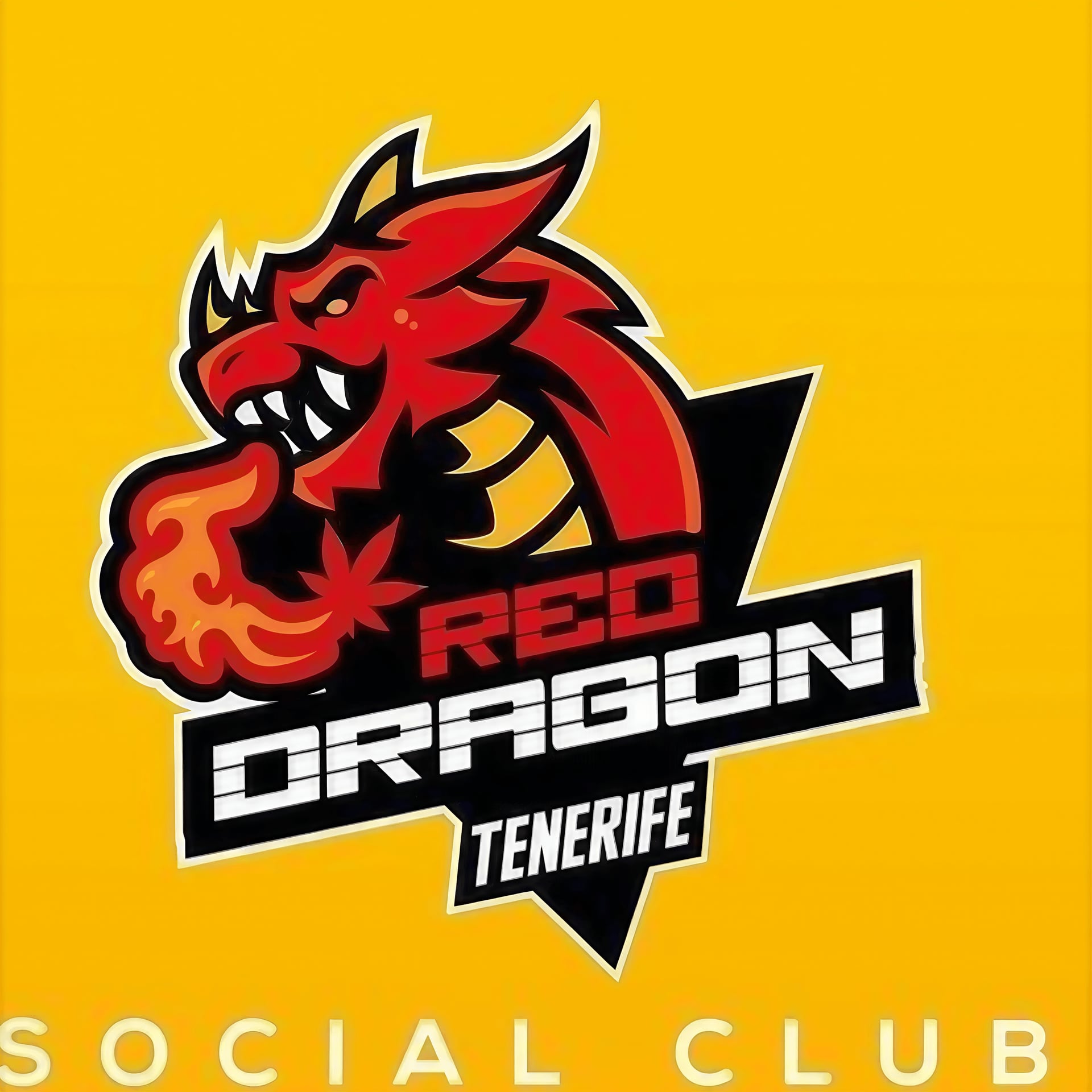 Cannabis Social Club Red Dragon logo