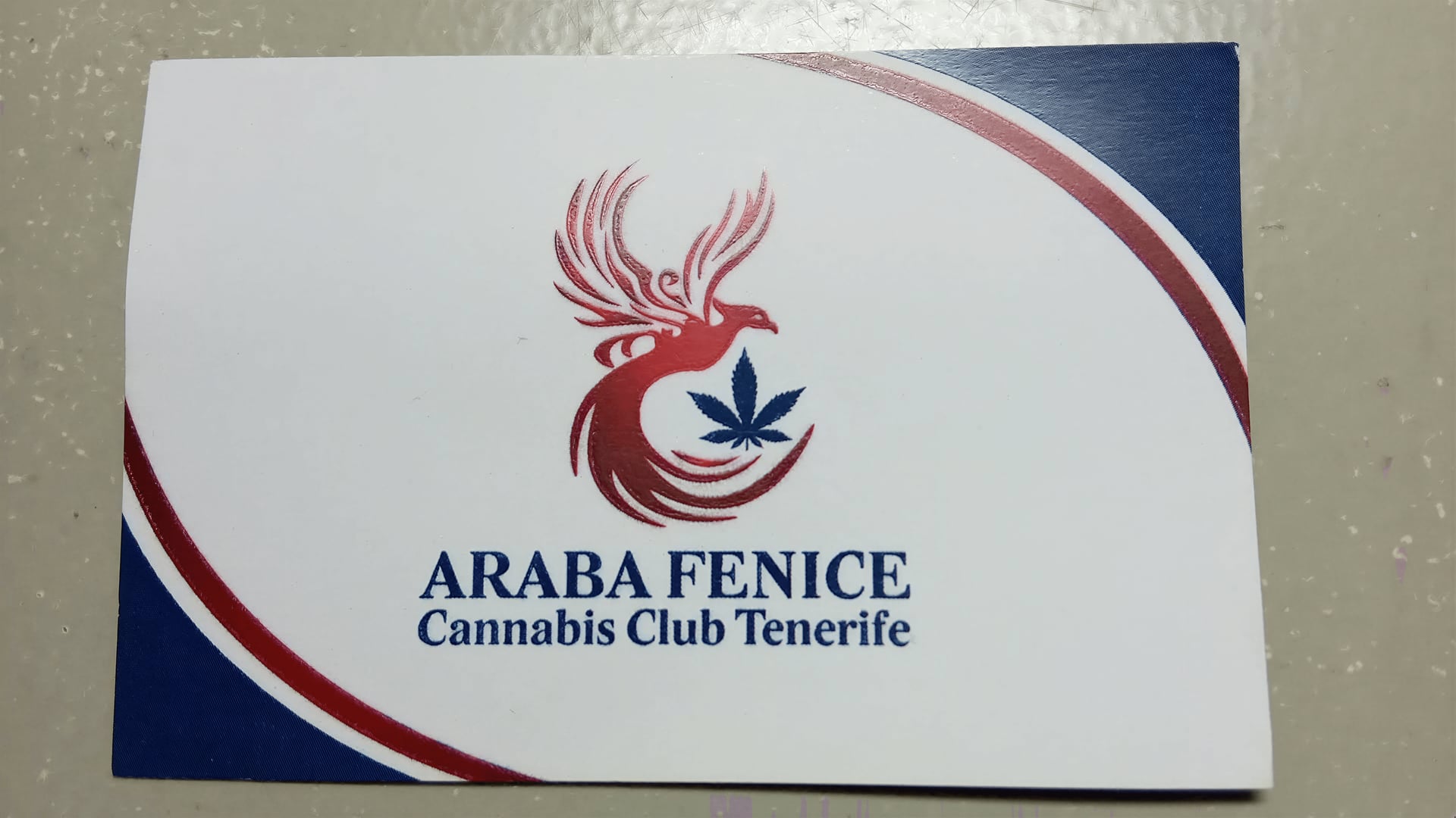 Araba FeniceCsc