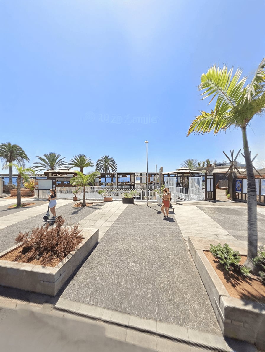 Gelato Weed Club Teneriffa