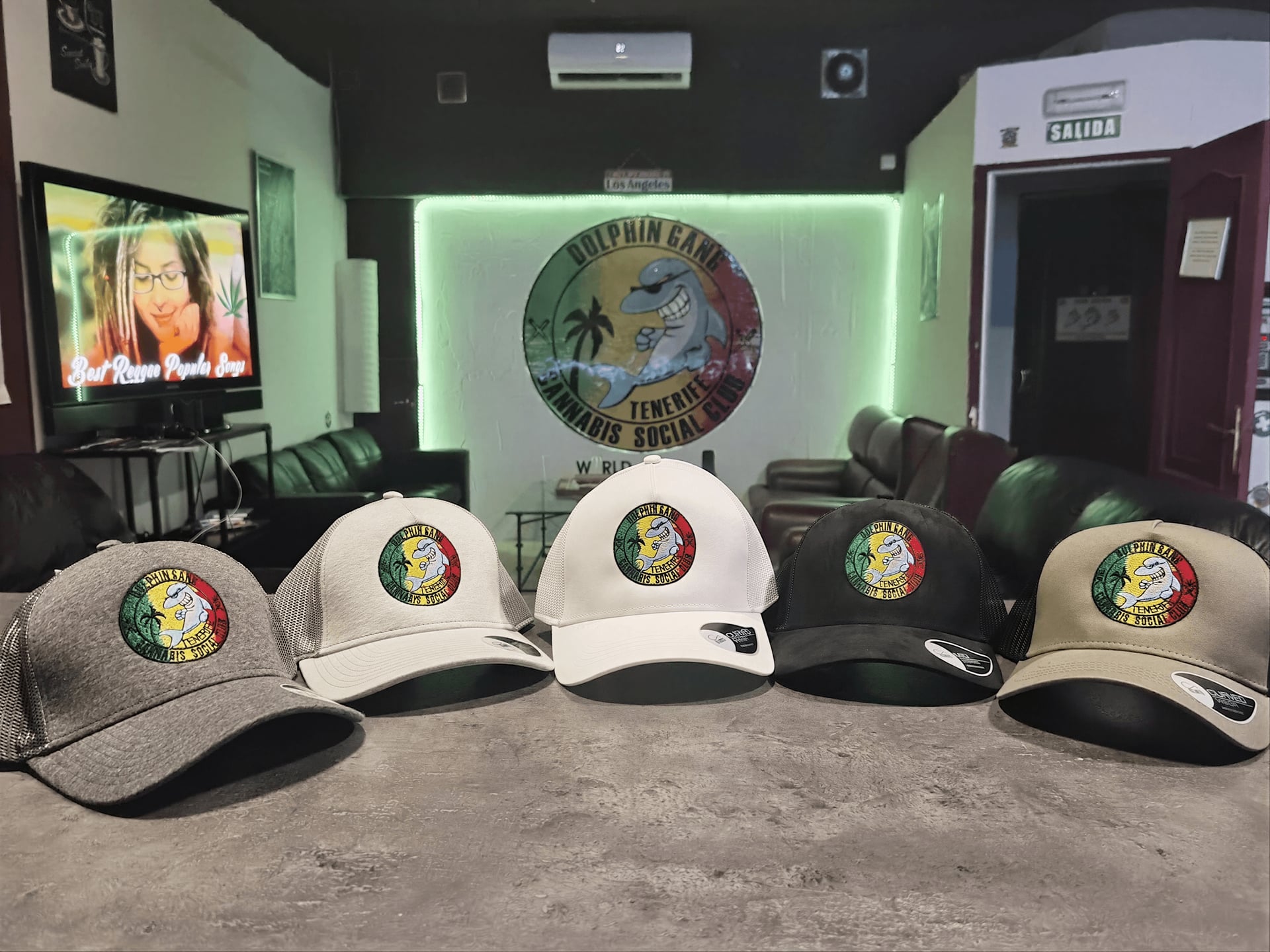Dolphin Gang Social Club