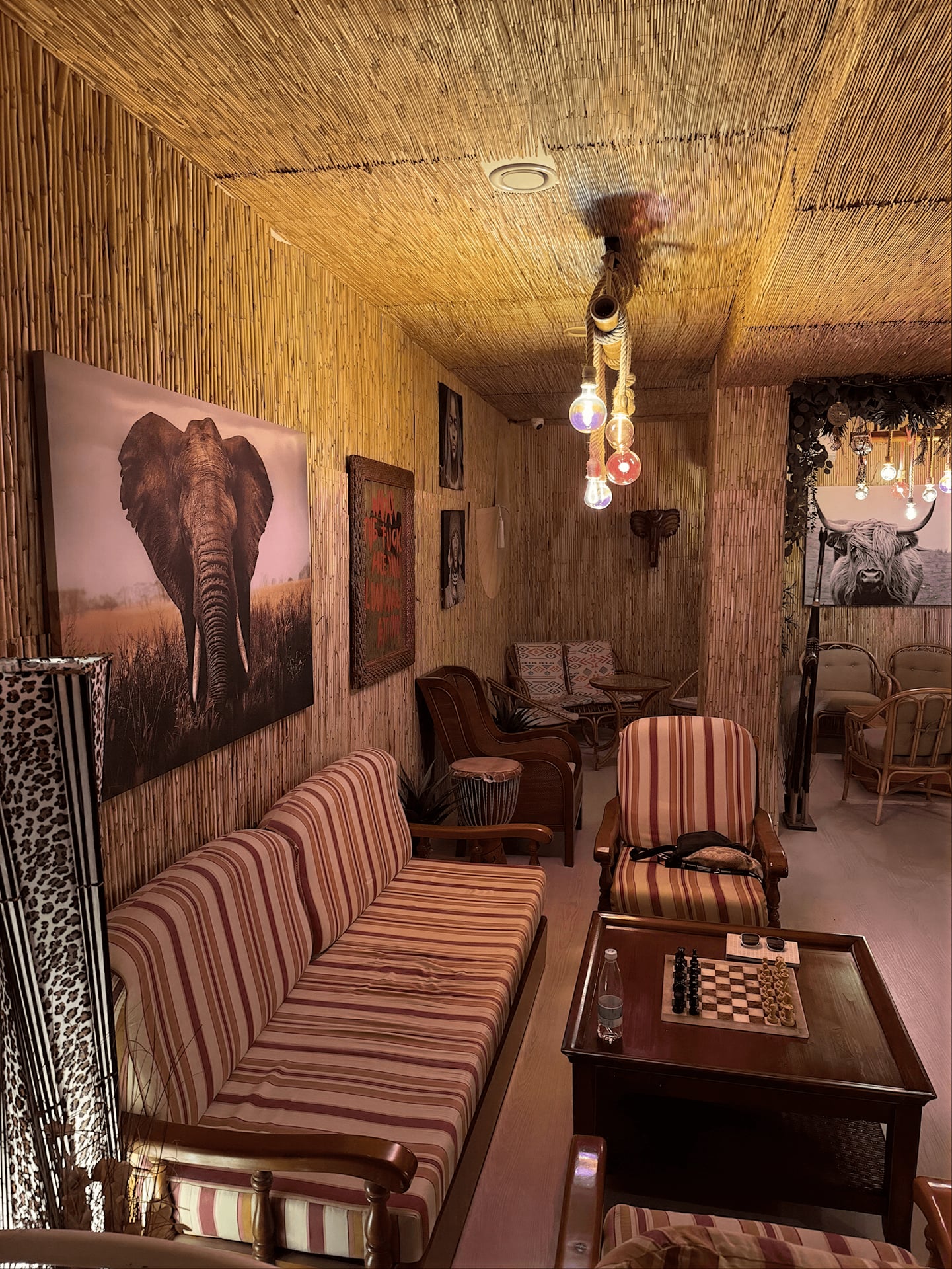 Savana Social Club
